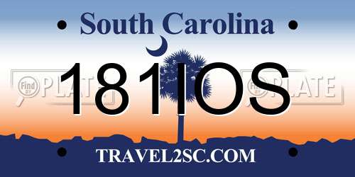 181IOS South Carolina License Plate