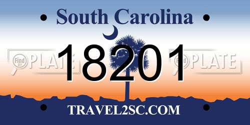 18201 South Carolina License Plate