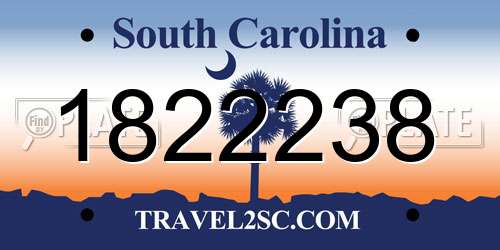 1822238 South Carolina License Plate