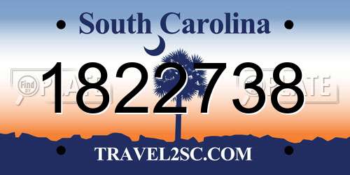1822738 South Carolina License Plate