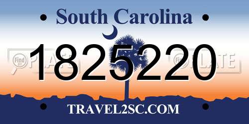 1825220 South Carolina License Plate