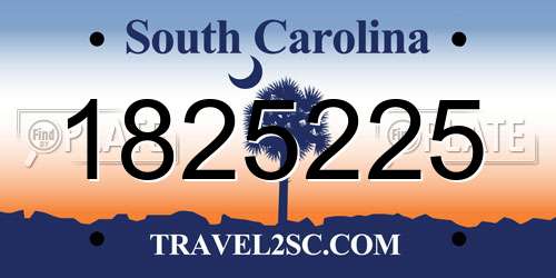 1825225 South Carolina License Plate