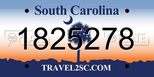 1825278 South Carolina License Plate