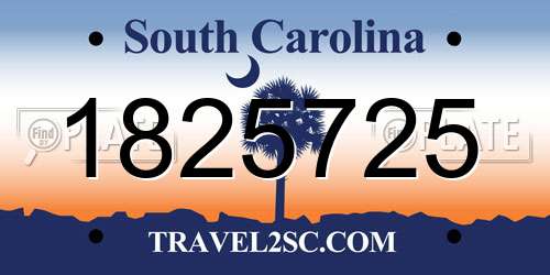 1825725 South Carolina License Plate