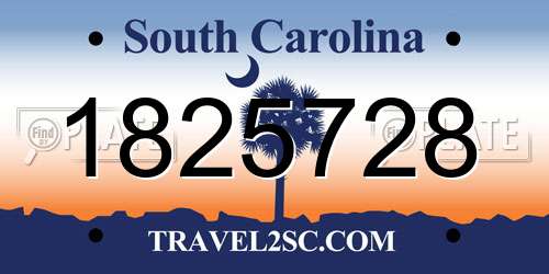 1825728 South Carolina License Plate