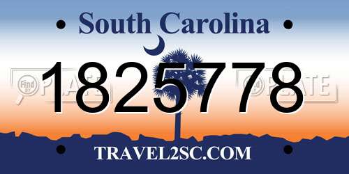 1825778 South Carolina License Plate