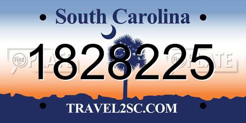 1828225 South Carolina License Plate