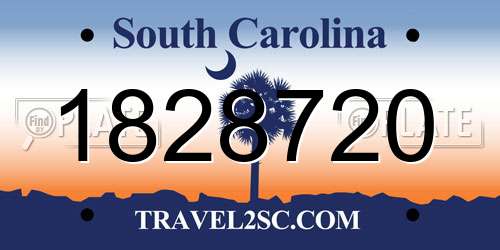 1828720 South Carolina License Plate
