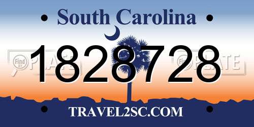 1828728 South Carolina License Plate