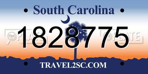 1828775 South Carolina License Plate