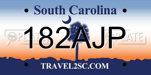 182AJP South Carolina License Plate