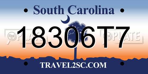 18306T7 South Carolina License Plate
