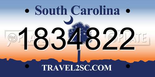 1834822 South Carolina License Plate