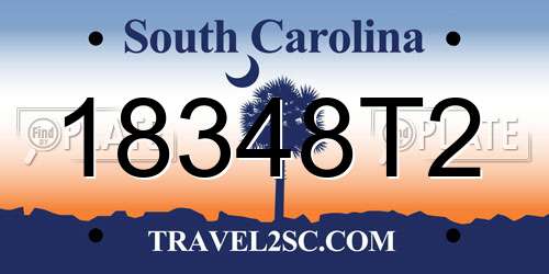18348T2 South Carolina License Plate