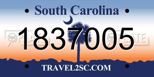 1837005 South Carolina License Plate
