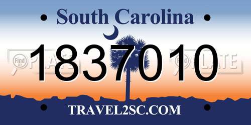 1837010 South Carolina License Plate