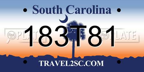 183T81 South Carolina License Plate