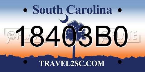 18403B0 South Carolina License Plate