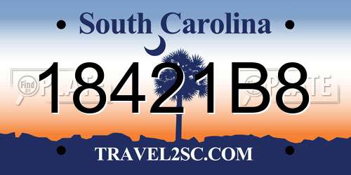 18421B8 South Carolina License Plate