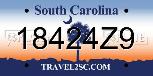 18424Z9 South Carolina License Plate