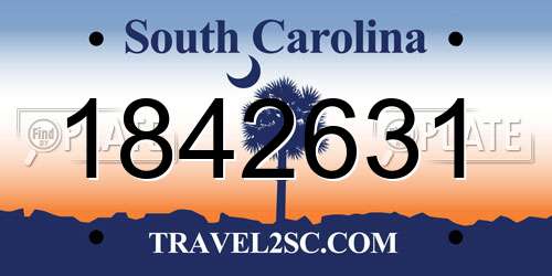 1842631 South Carolina License Plate