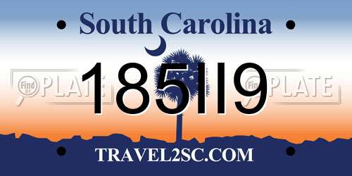 185II9 South Carolina License Plate
