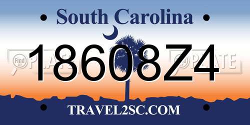 18608Z4 South Carolina License Plate