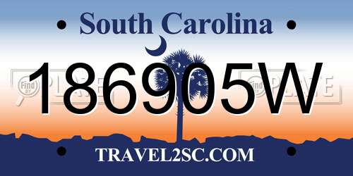 186905W South Carolina License Plate
