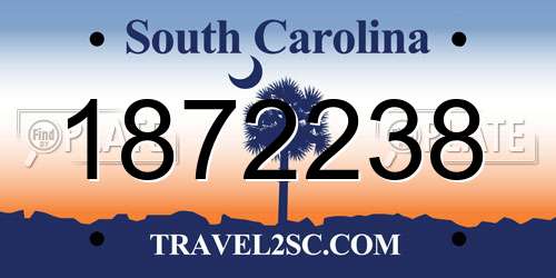 1872238 South Carolina License Plate