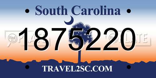 1875220 South Carolina License Plate