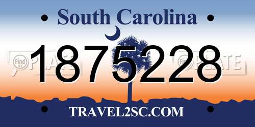1875228 South Carolina License Plate