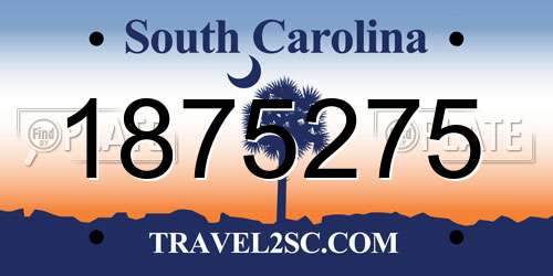 1875275 South Carolina License Plate