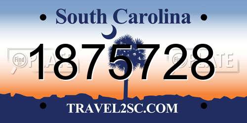 1875728 South Carolina License Plate
