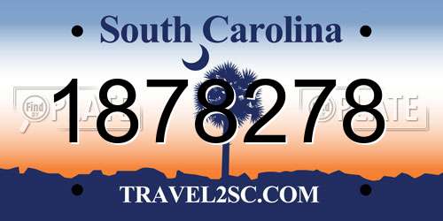 1878278 South Carolina License Plate