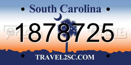 1878725 South Carolina License Plate