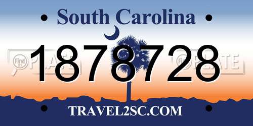 1878728 South Carolina License Plate