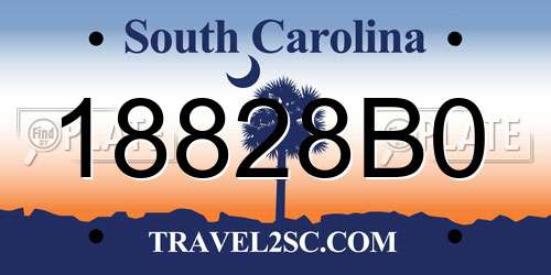 18828B0 South Carolina License Plate