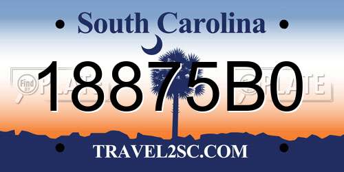 18875B0 South Carolina License Plate