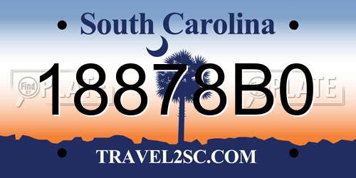 18878B0 South Carolina License Plate