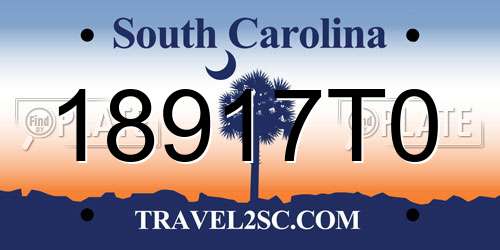 18917T0 South Carolina License Plate