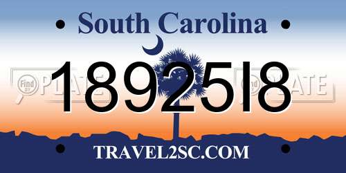 18925I8 South Carolina License Plate