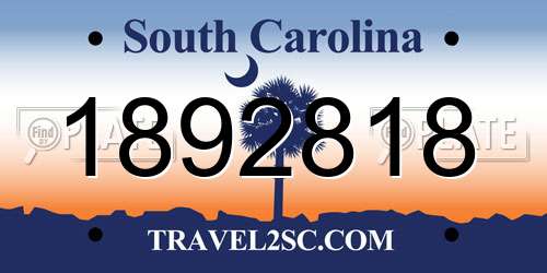 1892818 South Carolina License Plate