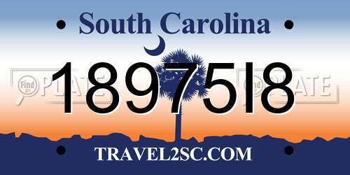 18975I8 South Carolina License Plate