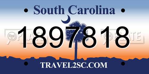 1897818 South Carolina License Plate