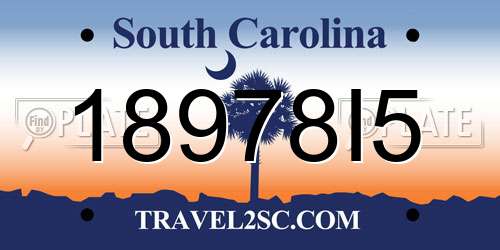 18978I5 South Carolina License Plate