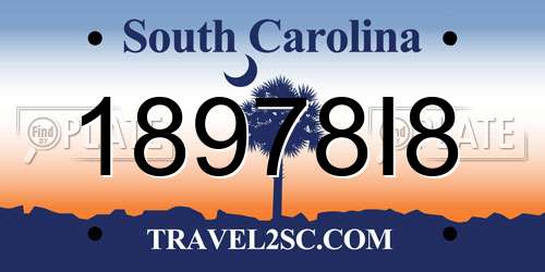 18978I8 South Carolina License Plate