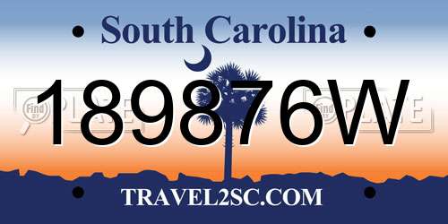 189876W South Carolina License Plate