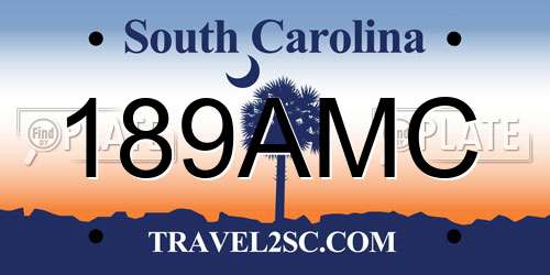 189AMC South Carolina License Plate
