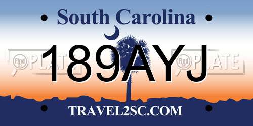 189AYJ South Carolina License Plate