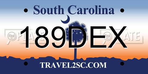 189DEX South Carolina License Plate